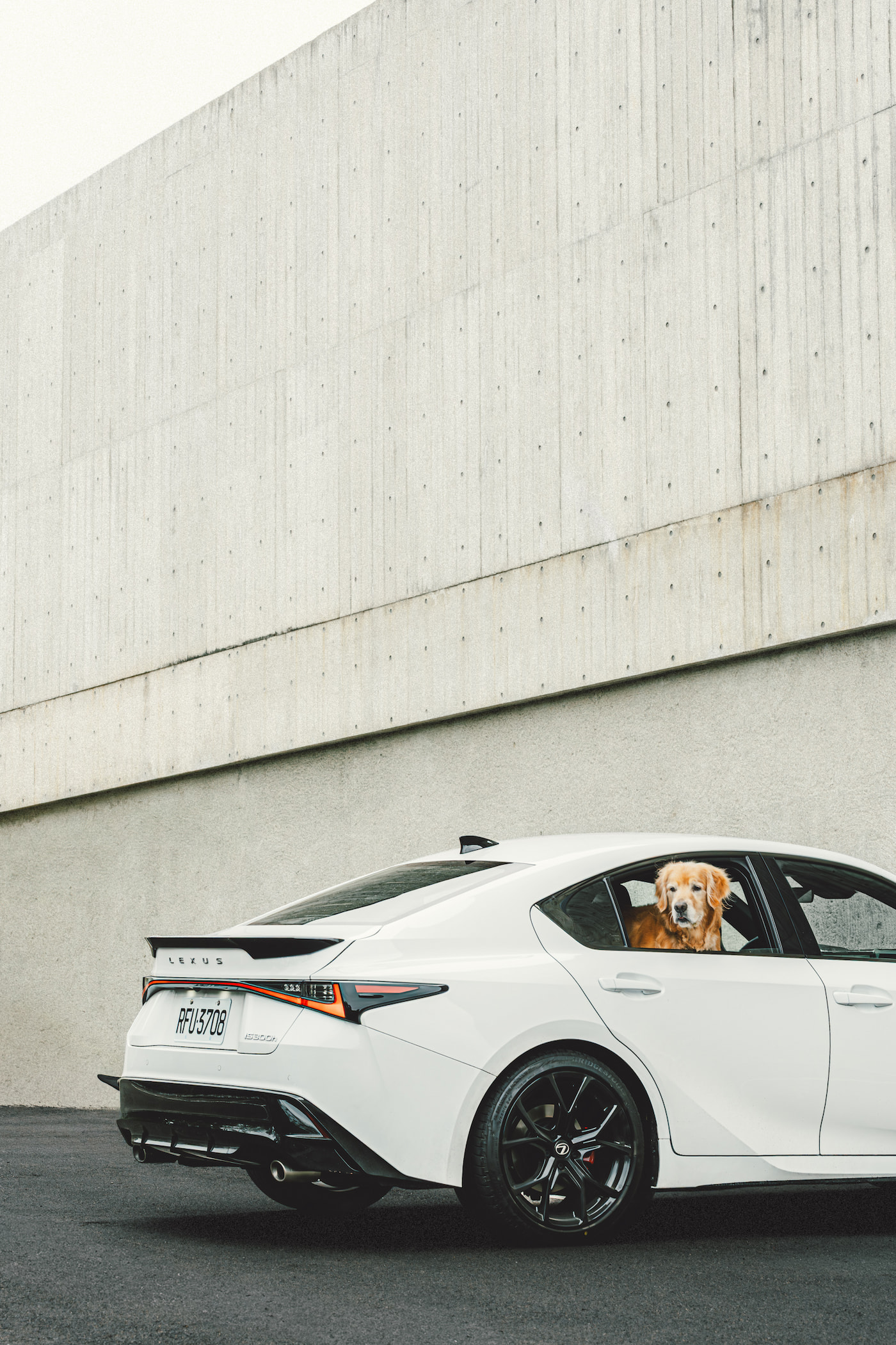 Project 1