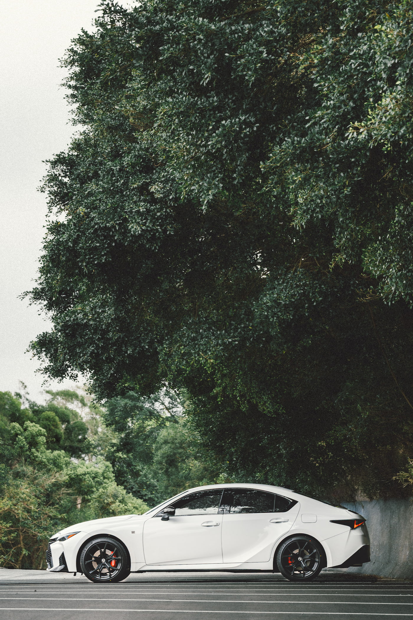 Project 1